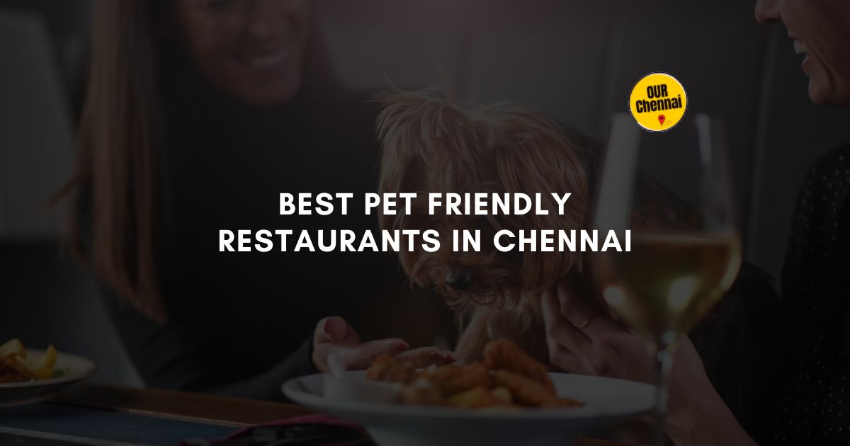 best pet friendly restaurants in chennai